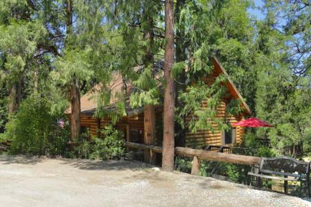 Eagles Nest - Natural Log Cabin With Guest House Idyllwild Eksteriør bilde