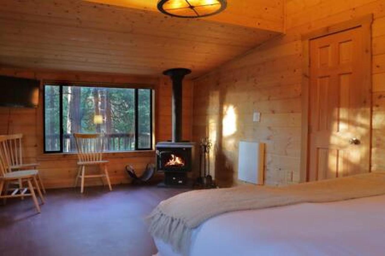 Eagles Nest - Natural Log Cabin With Guest House Idyllwild Eksteriør bilde