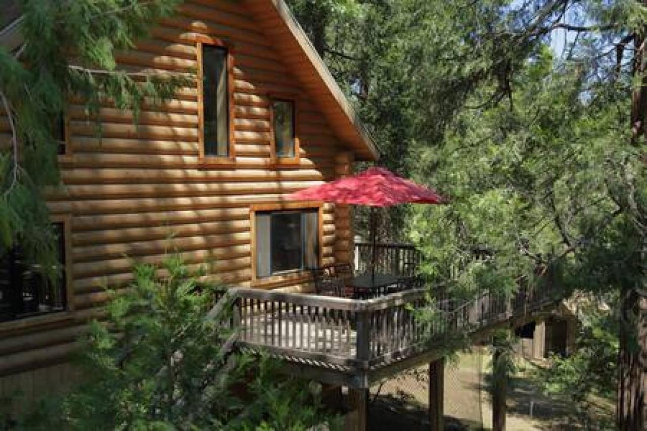 Eagles Nest - Natural Log Cabin With Guest House Idyllwild Eksteriør bilde